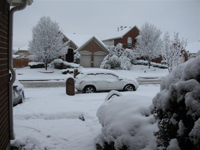 front yard snow